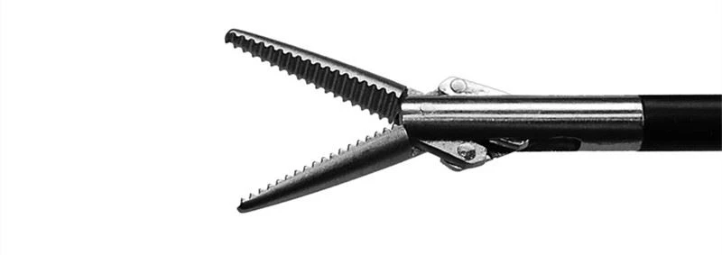 Disposable Straight Dissecting Forceps